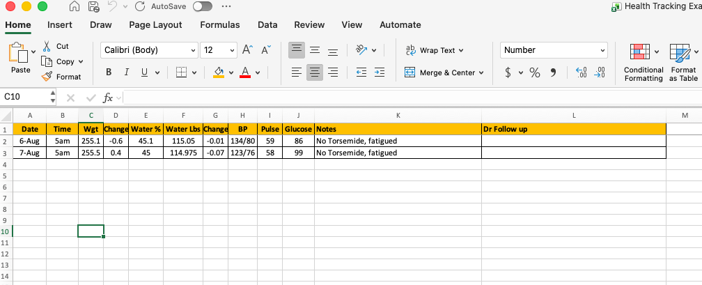 Screenshot of the example of the health tracking Excel Sheet that I use
